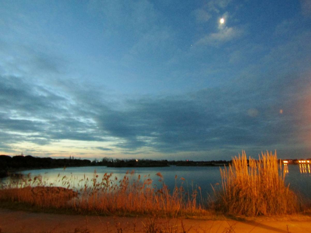Les Rives Du Lac Le Grau-du-Roi Dış mekan fotoğraf